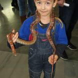 Veletrh Pro dítě 4. - 5. 3. 2016