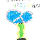 Houby v lese i na talíři