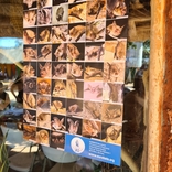 Noc netopýrů 9. 9. 2023