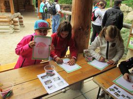 Příroda ve městě - Houby v lese i na talíři